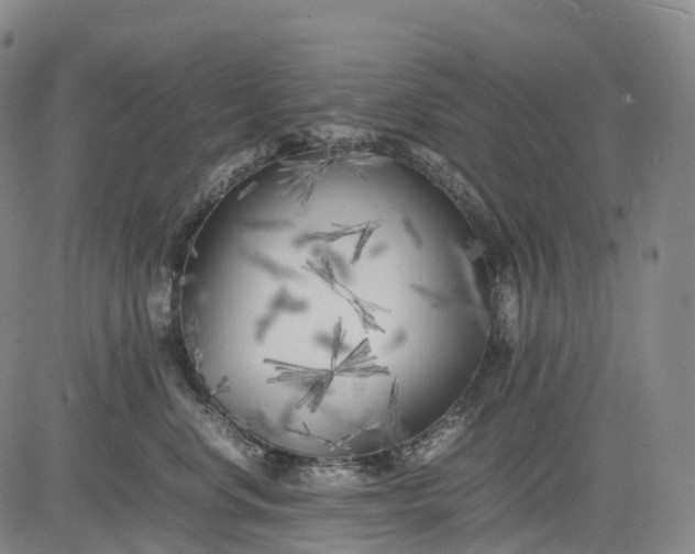 X0000083030668200702161643