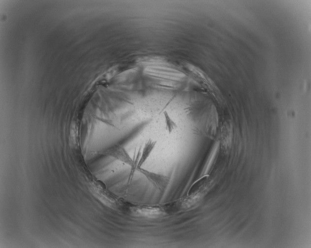 X0000083030669200702161643