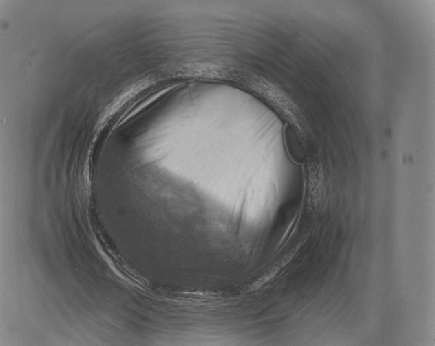 X0000083030674200702161642