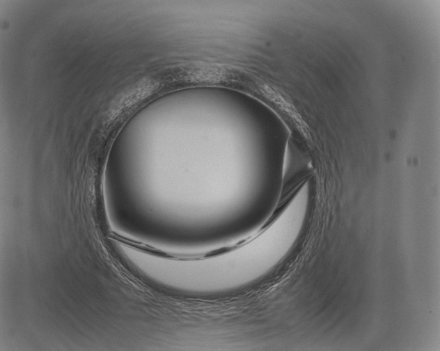 X0000083030681200702161642