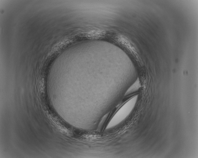 X0000083030689200702161642