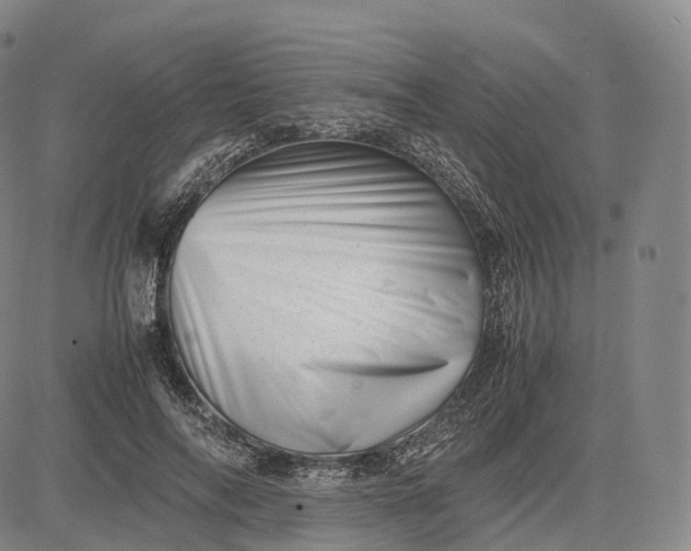 X0000083030694200702161642