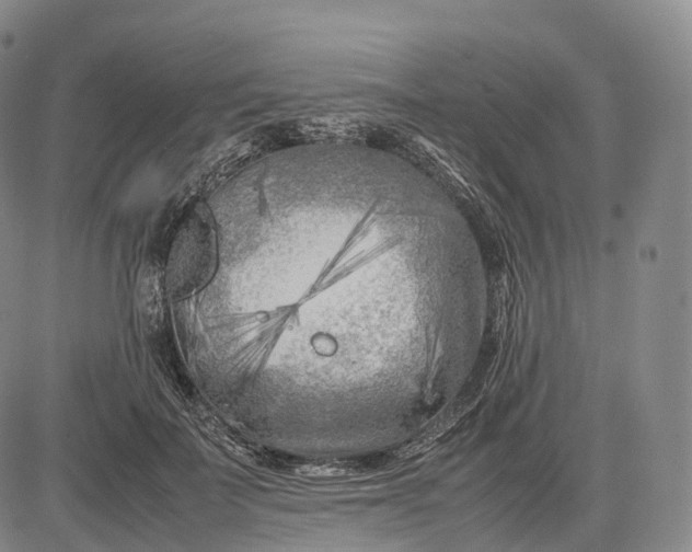 X0000083030699200702161641
