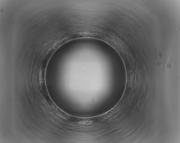 X0000083030700200702161641