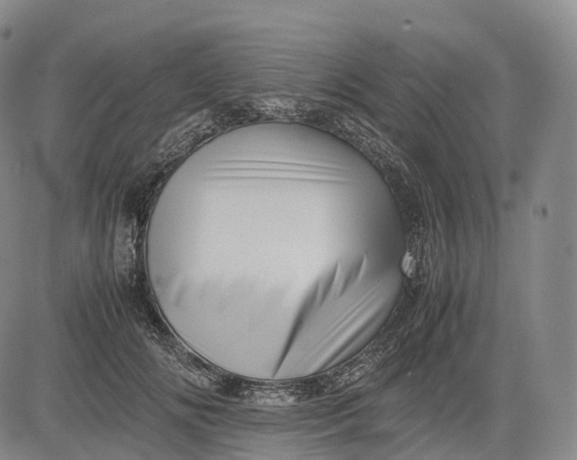 X0000083030702200702161641