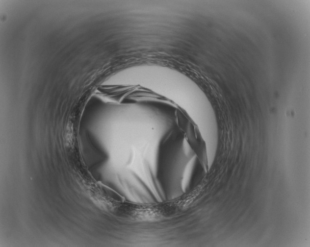 X0000083030704200702161641