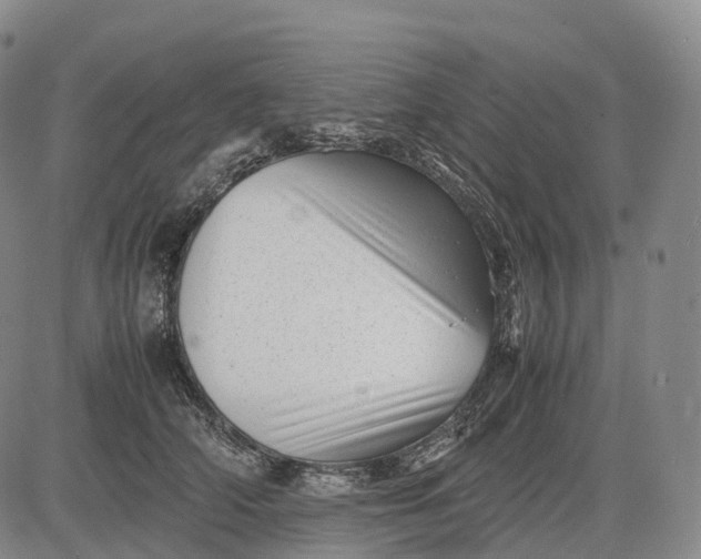 X0000083030706200702161641