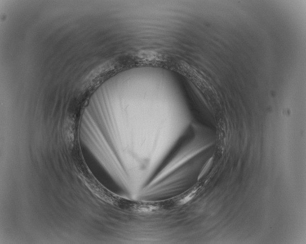 X0000083030710200702161641
