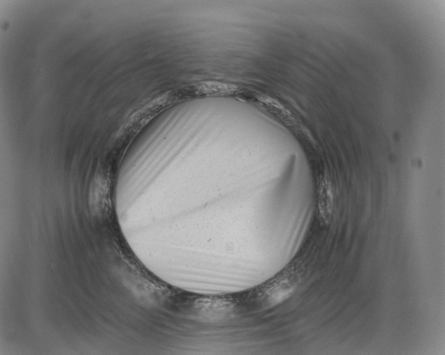 X0000083030714200702161641