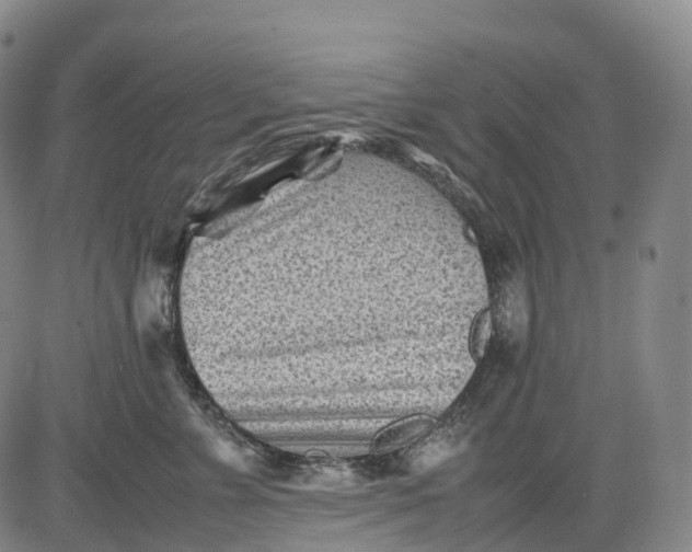 X0000083030715200702161641