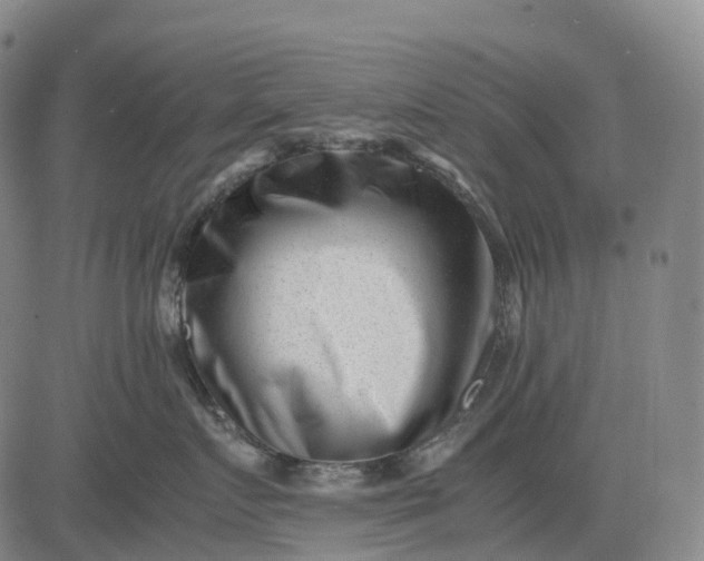 X0000083030719200702161641
