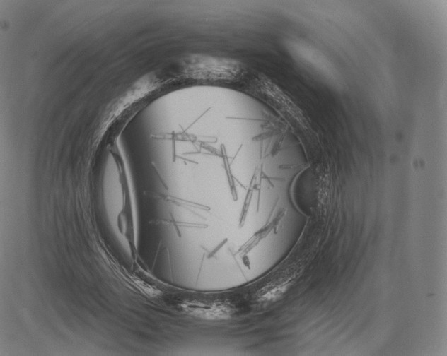 X0000083030727200702161640