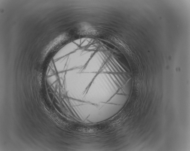 X0000083030735200702161641
