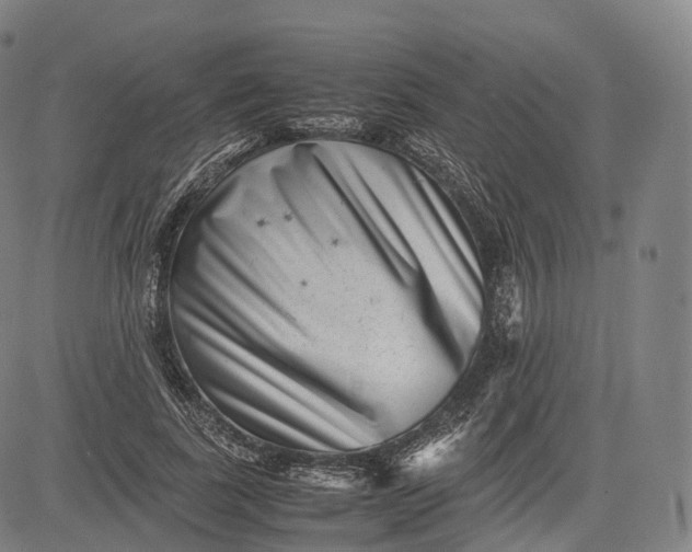 X0000083030739200702161641