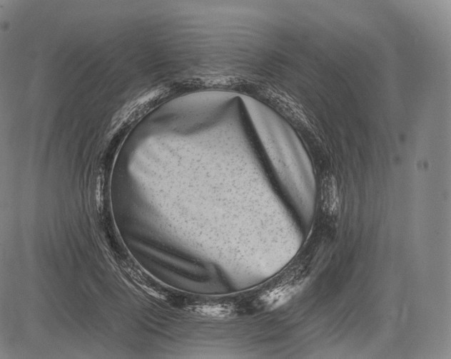 X0000083030740200702161641