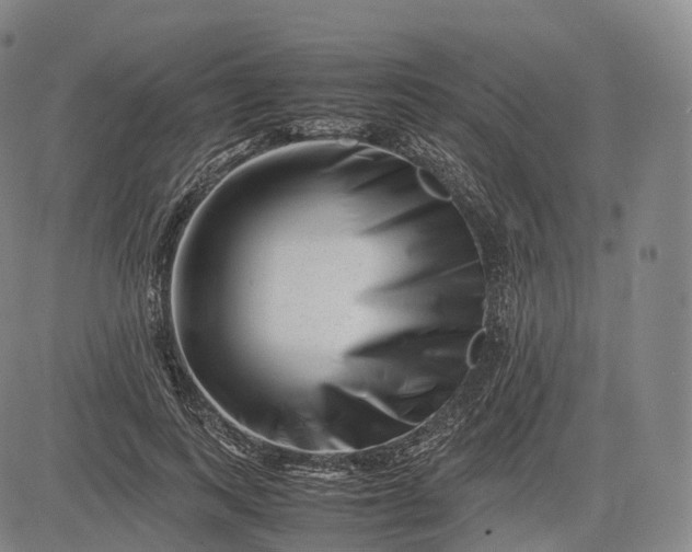 X0000083030743200702161641