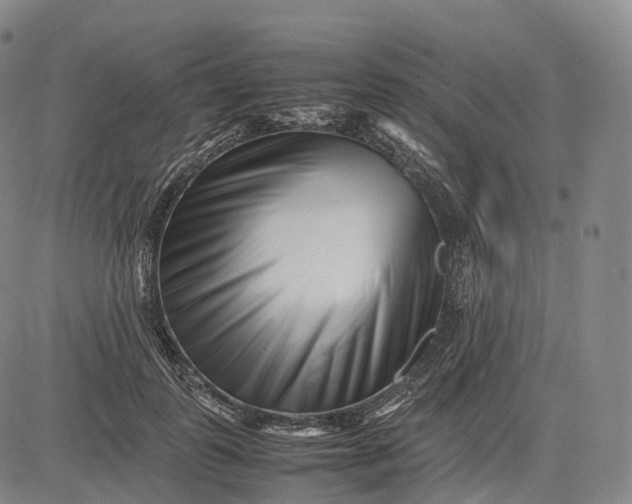 X0000083030747200702161641