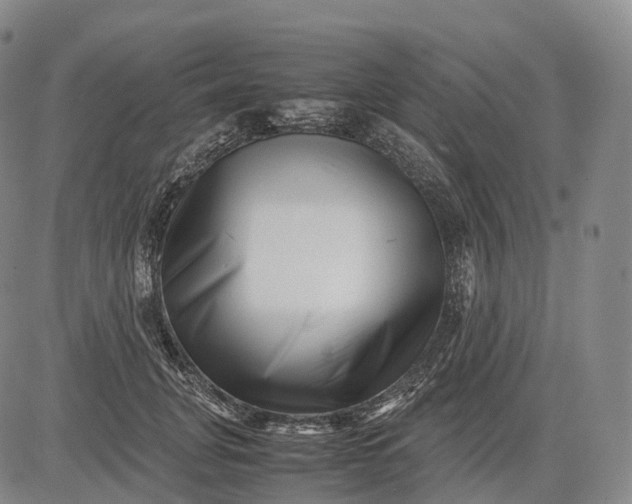 X0000083030751200702161641