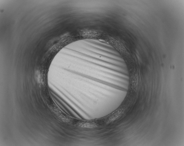X0000083030755200702161641