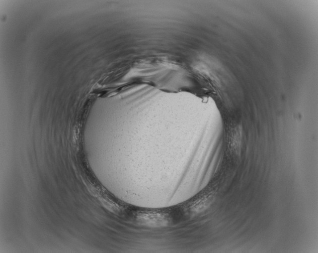 X0000083030759200702161641