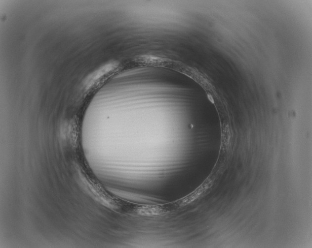 X0000083030762200702161641