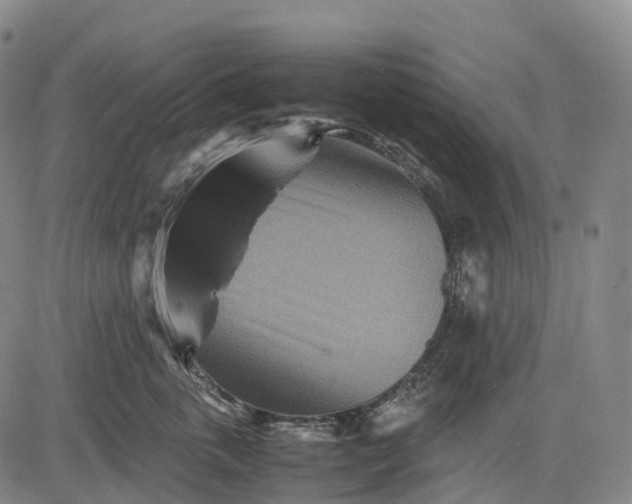 X0000083030763200702161641