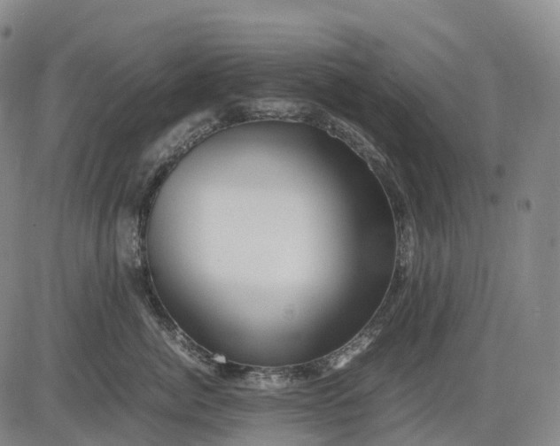 X0000083030764200702161641