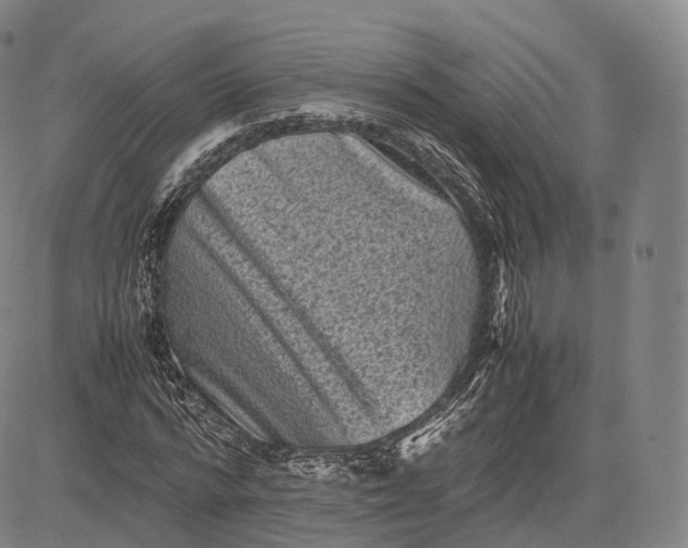 X0000083030776200702161640