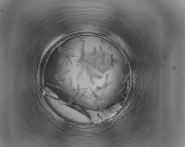 X0000083030780200702161640