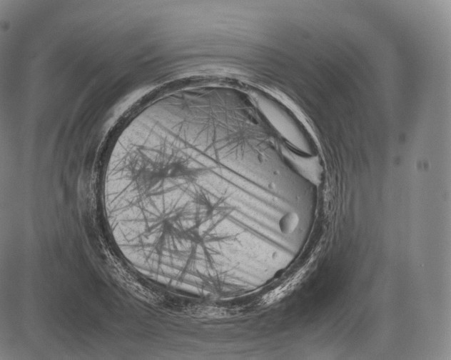 X0000083030783200702161640