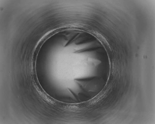 X0000083030784200702161640