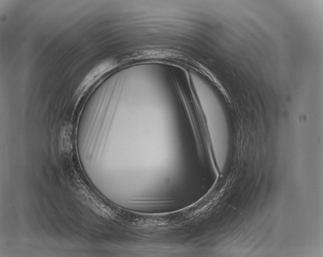 X0000083030786200702161640