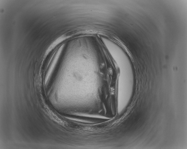 X0000083030787200702161640
