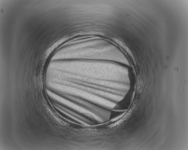 X0000083030789200702161640