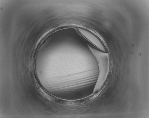 X0000083030799200702161640