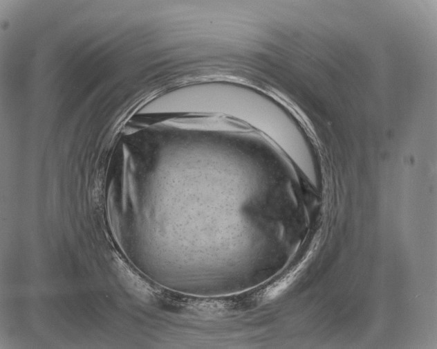 X0000083030801200702161640
