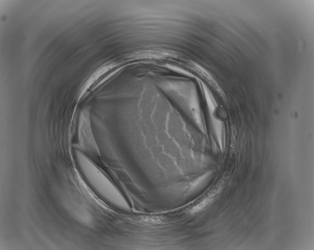 X0000083030802200702161640