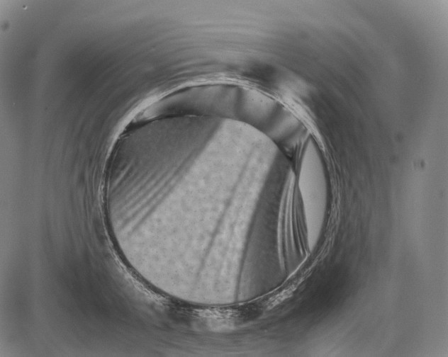 X0000083030805200702161640