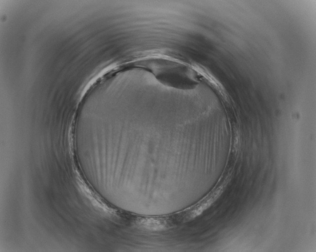 X0000083030806200702161640