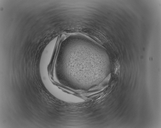 X0000083030818200702161639