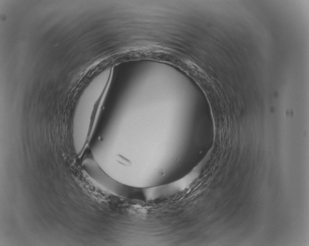 X0000083030822200702161639
