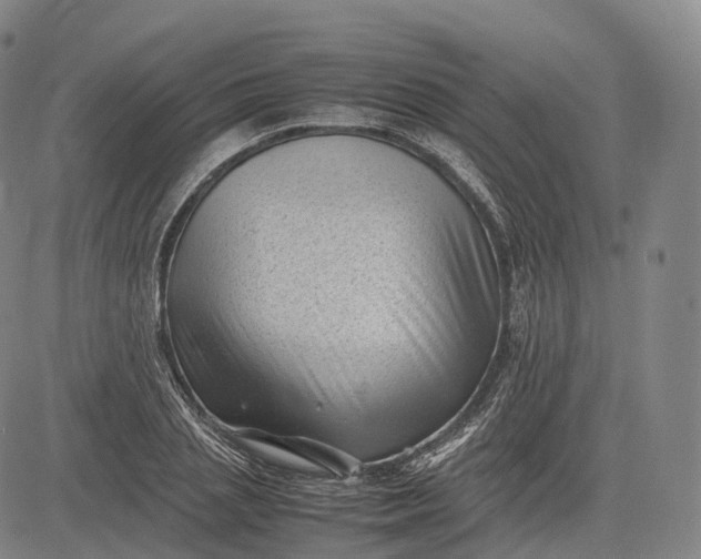 X0000083030837200702161639