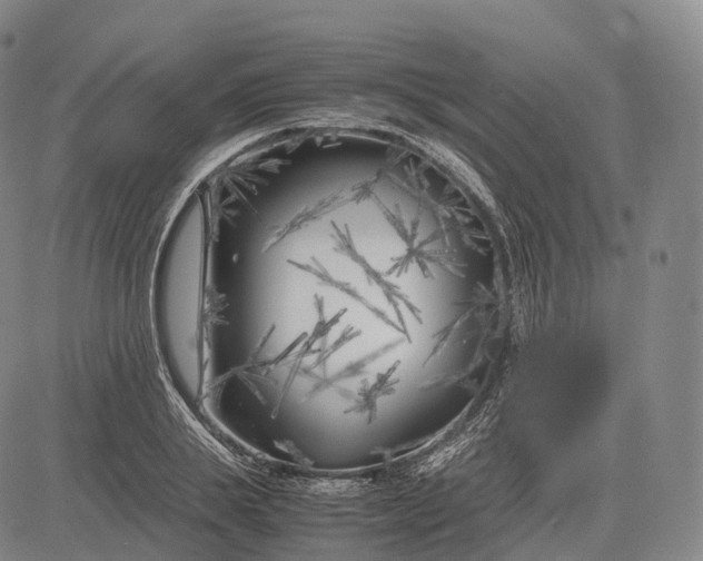 X0000083030839200702161639