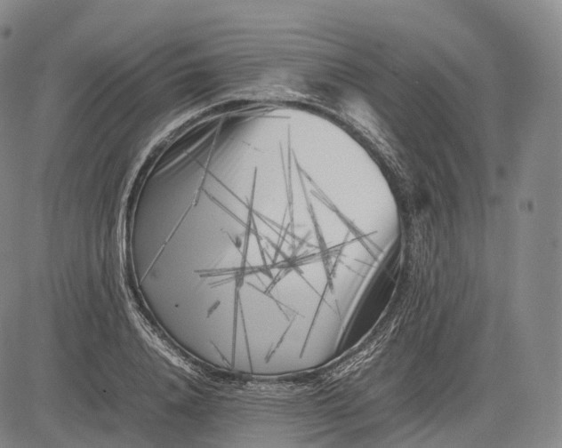 X0000083030840200702161639