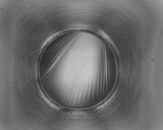 X0000083030842200702161639