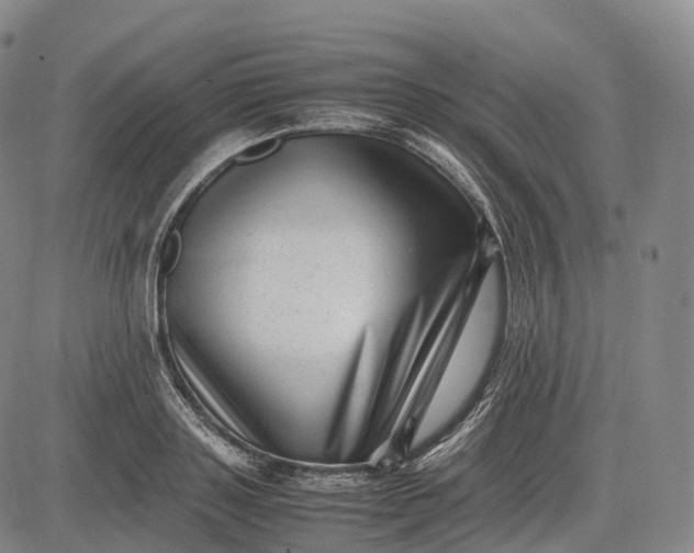 X0000083030843200702161639