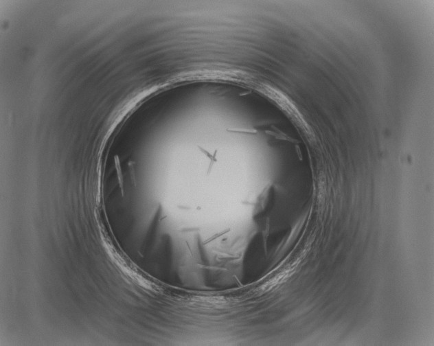 X0000083030844200702161639
