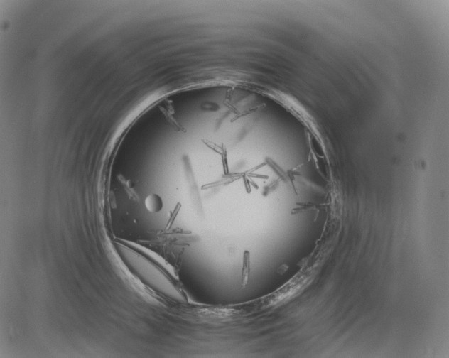 X0000083030859200702161639