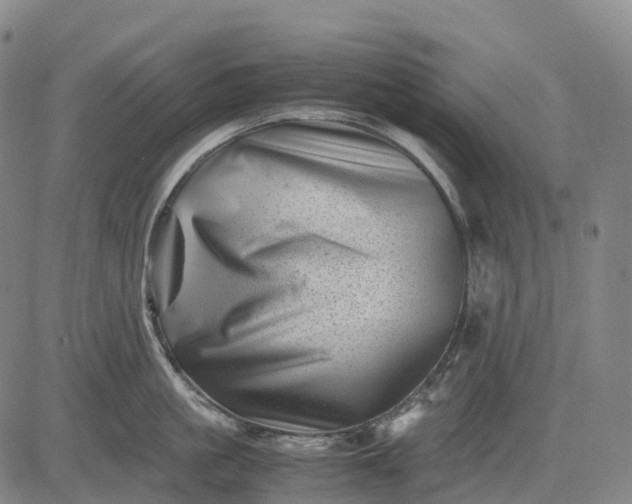 X0000083030861200702161639