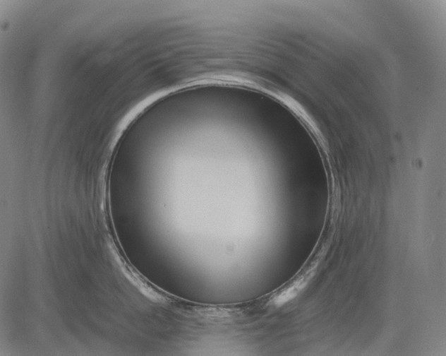 X0000083030862200702161639